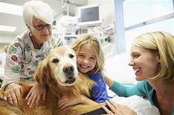 What is Pet Therapy?