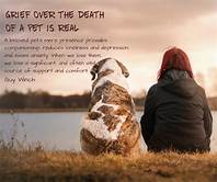 Grieving the Loss of a Pet