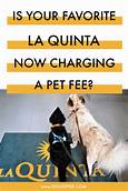 Is La Quinta Pet Friendly?