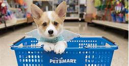 Does PetSmart Sell Dogs? Answers and Alternatives