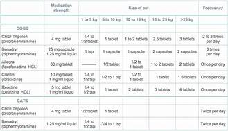 How Many PET Scans Can You Have in a Year?