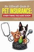 Which Pet Insurance is Best?