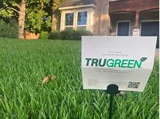 Is TruGreen Safe for Pets?