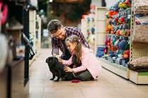 Does Pet Supplies Plus Price Match?