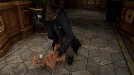 Can You Have Pets in Hogwarts Legacy?