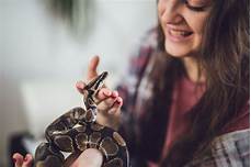 Do Snakes Like Being Pet?