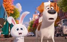 Where Can I Stream Secret Life of Pets?