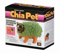 Where to Buy Chia Pets