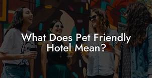 What Does Pet Friendly Hotel Mean?