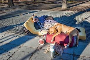 Do Homeless Shelters Allow Pets?