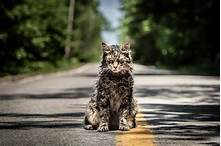 When Did Pet Sematary Come Out?