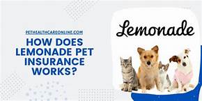 How Does Lemonade Pet Insurance Work?