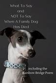 What to Say When a Pet Dies