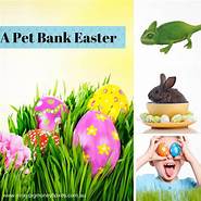 What Were Pet Banks?