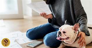 Can You Claim Pets on Your Taxes?