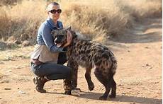 Can You Have a Hyena as a Pet?