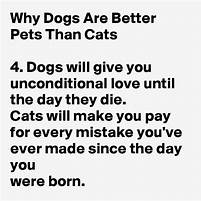 Why Dogs Make Better Pets Than Cats