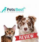 What Pet Insurance is Best