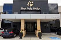 Pet-Friendly Hotels Near Me: Enjoy a Vacation with Your Furry Friend