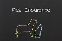 How to Get Pet Insurance: A Comprehensive Guide