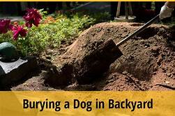 Can You Bury a Pet in Your Backyard?