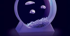 Can You Have a Jellyfish as a Pet?