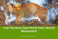 Can You Bury a Pet in Your Yard