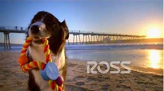 Is Ross Pet Friendly? Everything You Need to Know