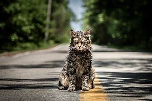 What is Pet Sematary About?