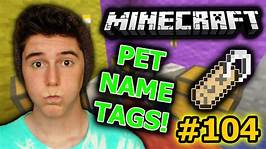 How to Name a Pet in Minecraft