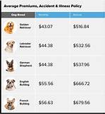 How Much Is Pet Insurance a Month: Understanding Costs and Coverage