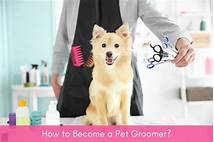 How to Become a Pet Groomer