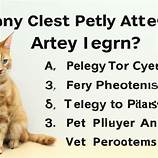 How Long do Pet Allergy Symptoms Last?