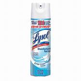 Is Lysol Spray Safe for Pets?