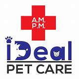 AM PM Ideal Pet Care: Providing Exceptional Services for Your Furry Friends