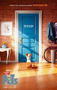 Where to Stream the Secret Life of Pets