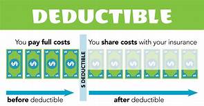 What is a deductible in pet insurance?