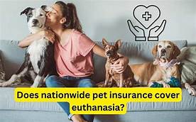 Does Nationwide Pet Insurance Cover Euthanasia?