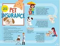 What Does Pet Insurance Cover? A Comprehensive Guide for Pet Owners