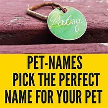 Are Pet Names Capitalized?