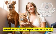 How Does Nationwide Pet Insurance Work?