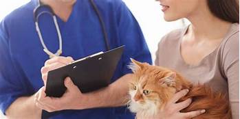 Where to Get Pet Prescriptions Filled