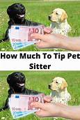 How Much to Tip a Pet Sitter?