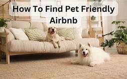 How to Find Pet-Friendly Airbnb