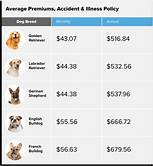 How Much is Pet Insurance? The Ultimate Guide to Pet Insurance Costs