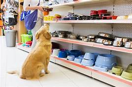 How to Open a Pet Store