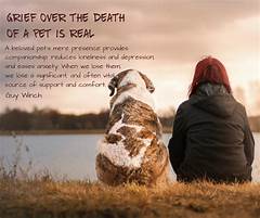 Coping with the Loss of a Pet: A Guide for Grieving Pet Owners