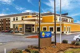 Is Comfort Inn Pet Friendly?