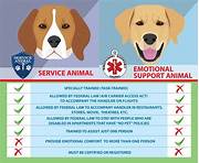 Do Emotional Support Animals Count Towards Pet Limit?