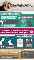 How Do Pets Help with Mental Health?